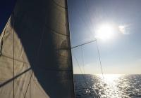sailing yacht sail sun sky